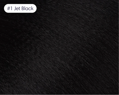 #1 Jet Black swatch
