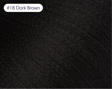 #1B Dark Brown swatch