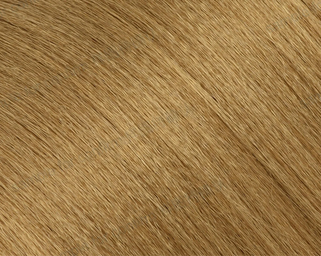 #27 Honey Blond swatch